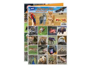 Obrázek z Pexeso zvířáta ze ZOO MFP 3xA4 (25) 